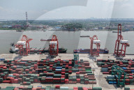 Shanghai Port Container