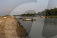 Harvesting Rice In Bangladesh