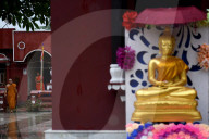 Celebrating Buddha's birthday