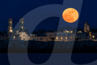 Full Moon Of Flowers