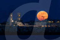 Full Moon Of Flowers