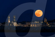 Full Moon Of Flowers
