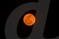 May's Flower Moon 