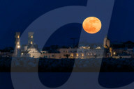 Full Moon Of Flowers