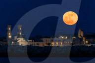 Full Moon Of Flowers