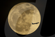 Flower Moon Los Angeles