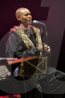 Skin  (Skunk Anansie)
