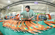 Chinese Automobile Manufacturing Industry