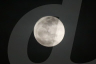 Flower Moon In Mexico City