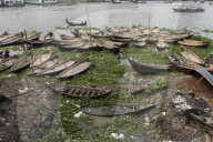 Daily Life In Buriganga River.