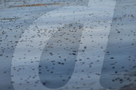 TOXIC WATERS: Argentina's Rotten River