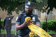 Two Innocent Bystanders, An 11-year-old Boy And A 20-year-old Man Injured During A Shooting On Elton Avenue