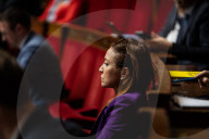 Questions To The French Government At The National Assembly