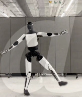 Elon Musk Tesla robot can now dance