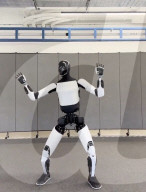 Elon Musk Tesla robot can now dance