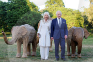 Charles holds Elephant Family Evening of Art and Conservation at Kew Gardens