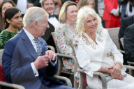 Charles holds Elephant Family Evening of Art and Conservation at Kew Gardens