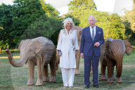Charles holds Elephant Family Evening of Art and Conservation at Kew Gardens