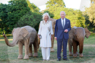 Charles holds Elephant Family Evening of Art and Conservation at Kew Gardens
