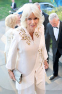 Charles holds Elephant Family Evening of Art and Conservation at Kew Gardens