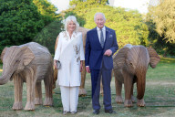 Charles holds Elephant Family Evening of Art and Conservation at Kew Gardens