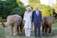 Charles holds Elephant Family Evening of Art and Conservation at Kew Gardens
