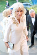 Charles holds Elephant Family Evening of Art and Conservation at Kew Gardens