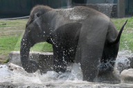 Heatwave In Kolkata , India