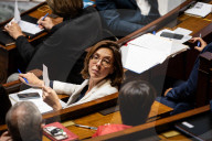 Questions To The French Government At The National Assembly
