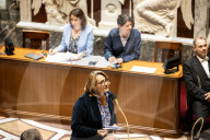 Questions To The French Government At The National Assembly