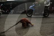 The Cruelty Of 'Topeng Monyet': Exploiting Long-Tailed Macaques