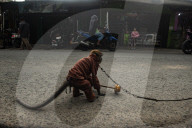 The Cruelty Of 'Topeng Monyet': Exploiting Long-Tailed Macaques