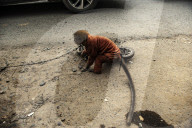 The Cruelty Of 'Topeng Monyet': Exploiting Long-Tailed Macaques