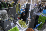 Iran-Automotive Industry-Electronic