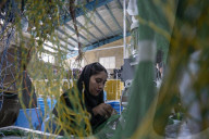 Iran-Automotive Industry-Electronic