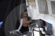 Iran-Automotive Industry-Electronic