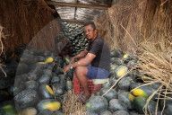 Sale Of Watermelon Rises In Nepal As Temperature Surge 
