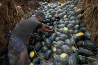 Sale Of Watermelon Rises In Nepal As Temperature Surge 