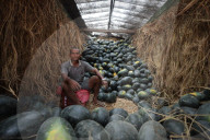 Sale Of Watermelon Rises In Nepal As Temperature Surge 