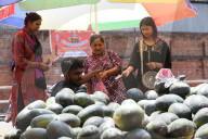 Sale Of Watermelon Rises In Nepal As Temperature Surge 