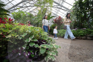 Allan Garden Reopening In Toronto, Canada