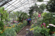 Allan Garden Reopening In Toronto, Canada