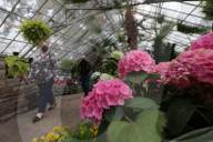 Allan Garden Reopening In Toronto, Canada