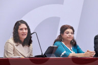 Mexico City Government  Monthly Security Report