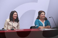 Mexico City Government  Monthly Security Report