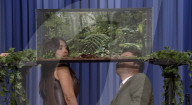 Salma Hayek gets bugged