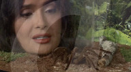 Salma Hayek gets bugged