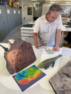 Fossil tracks rewrite reptile history by 40 million years
