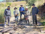 Fossil tracks rewrite reptile history by 40 million years