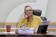 Extraordinary Session Of The General Council Of The National Electoral Institute (INE) In Mexico City